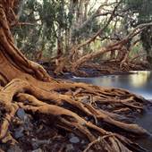Eel Pool, East of Nullagine, Pilbara
