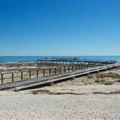 Hamelin Pool Marine Nature Reserve