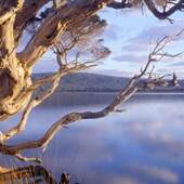 Nornalup Inlet, Walpole