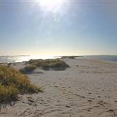 Woodman Point