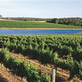 Margaret River - Leeuwin Estate Winery