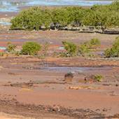 Broome - Crab Creek