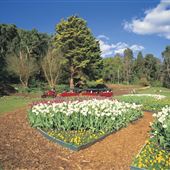 Araluen Botanic Park