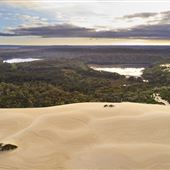 Yeagarup Sand Dunes