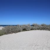 Geraldton - Back Beach