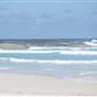 Lowlands Beach, ALBANY