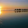 Broome - Cable Beach
