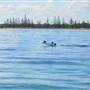Busselton