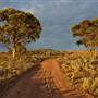 Coolgardie Outskirts