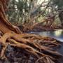 Eel Pool, East of Nullagine, Pilbara