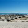 Hamelin Pool Marine Nature Reserve