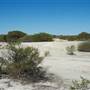 Hamelin Pool Marine Nature Reserve