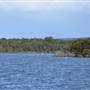 Hardy Inlet, Augusta