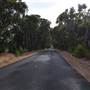 Yallingup - Wyadup Road to Indijup Beach