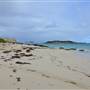 Hamelin Bay