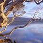 Nornalup Inlet, Walpole