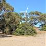 Rottnest Island