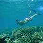 Rosemary Island - reef snorkelling