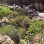 Tier Gorge
