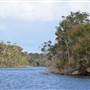 Molloy Island