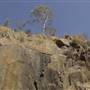 John Forrest National Park