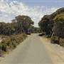 Rottnest Island