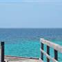 Abrolhos Islands - East Wallabi