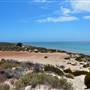 Abrolhos Islands - East Wallabi