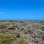 Abrolhos Islands - East Wallabi