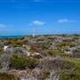 Abrolhos Islands - East Wallabi