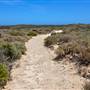 Abrolhos Islands - East Wallabi