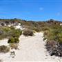 Abrolhos Islands - East Wallabi
