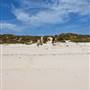 Abrolhos Islands - East Wallabi