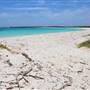 Abrolhos Islands - East Wallabi
