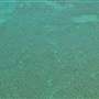 Abrolhos Islands - West Wallabi Island