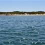 Cape Peron - Rockingham - from water