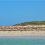 Garden Island - Gilbert Point - from water