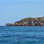 Garden Island - Collins Point - from water