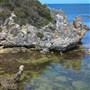 Garden Island - Point Atwick - North and South Bay from land