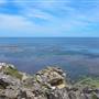 Garden Island - Point Atwick - North and South Bay from land