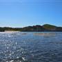 Garden Island - Calista Point - from water