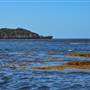 Garden Island - Calista Point - from water
