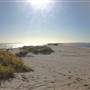 Woodman Point