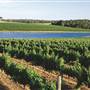 Margaret River - Leeuwin Estate Winery