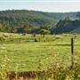 Millbrook Winery