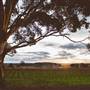 Pemberton