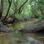 Collie River, Collie
