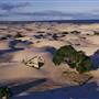 Eucla Rolling Dunes