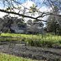 Albany - Strawberry Hill Farm