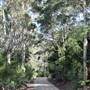 Denmark/Albany Forest Roads